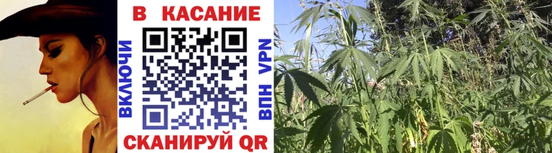 МЕФ Сызрань
